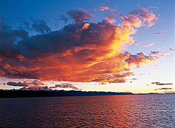 3.0.3免费OPPO版破解大全免费下载：极速狂飙都市风云新版上线，雨天竞速与改装攻略全解析-4