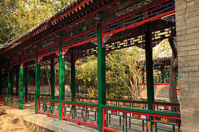 国产不伦:东方修真邂逅齿轮文明,国产新游打破风格边界-3