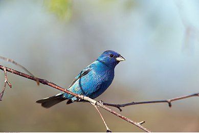 十大禁用软件app：《极速地平线：无限狂飙》反作弊系统升级，违规玩家面临永久封禁-2