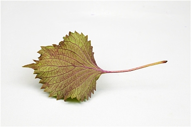 男生女生做亲密动作的软件：虚拟座驾的浪漫，双人驾驶模拟器中的亲密互动艺术-3