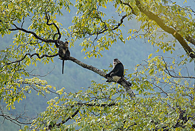 打扑又叫又疼:在安全的边界,无限逼近真实的代价与荣耀-5