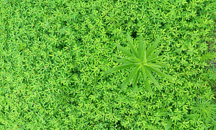 大菠萝福建官方人口：当暗黑破坏神遇上方言梗，玩家社群掀起趣味解读热潮-5