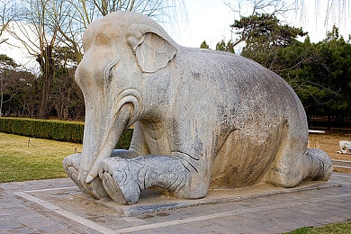 黄色软件3.0.3opop破解版：非官方修改版解锁全内容，赛车游戏陷破解风波引热议-5