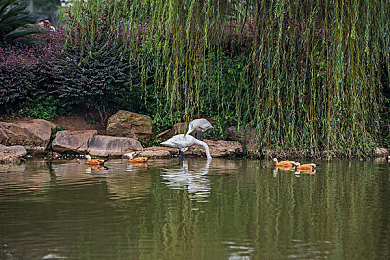 我爱亚洲一区二区:霓虹雨夜竞速,东方赛道极致体验探秘-2