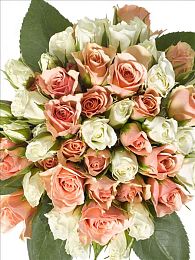 在女生胃里探险：微观竞速新体验，驾驭纳米赛车挑战人体消化赛道-3