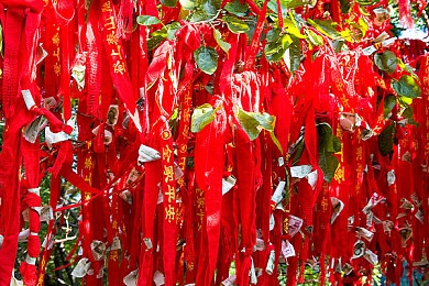 10大禁用app：疾驰于禁忌边缘，赛博都市的逃亡抉择-4