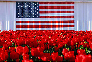 双人打扑克又痛又叫的那一：在绝境抽牌中嘶吼的智慧博弈，于生命与卡牌共鸣的瞬间-3