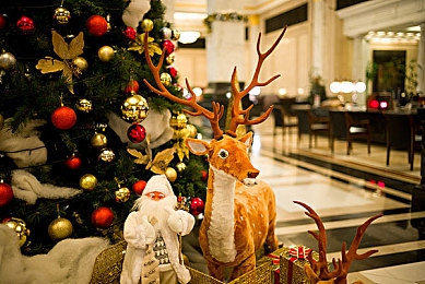 黄色视频网免费：在墨西哥的开放世界中，体验极致竞速与视觉盛宴-2