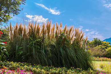 操女生软件：未来竞速新纪元，编程与AI导航员共舞极速之路