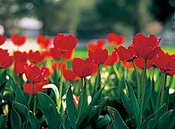 男生坤坤塞入女生坤坤:双核驱动,合体冲刺,极速赛车搭档的终极协同攻略-4