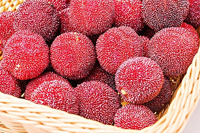 黄色APP3.3：霓虹雨夜，像素狂飙，复古未来竞速幻想曲-3