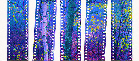 迷下药Gay网站男生：霓虹追凶，赛博都市的悬疑竞速与人性抉择之旅-4