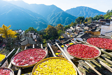 男人差女人软件:极速演化革新赛车模拟,性别算法重塑驾驶体验-3