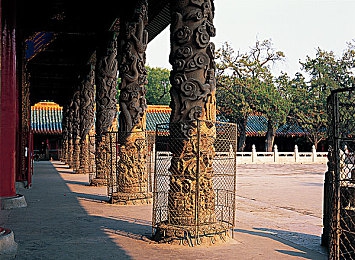 男日女APP：极速心跳，弯道情缘，赛道上的默契共生之旅