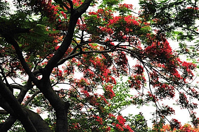 天堂a√:云端竞速新作发布,动态赛道与AI系统颠覆传统驾驶体验-4