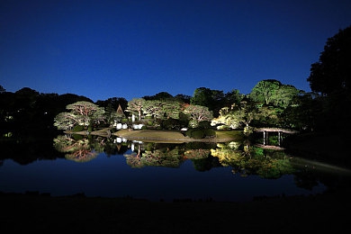 两个人一起差差的app：双心共驭，极速同步的竞速之旅-5