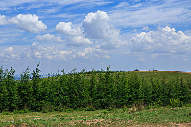 台湾妹中文娱乐网2222：极限竞速地平线5今日上线，开放世界竞速新纪元正式开启-3