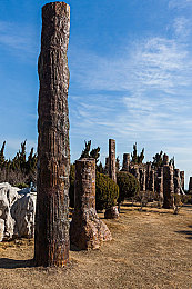 八重神子被丘丘人抓去繁衍后代：提瓦特危机救援，策略潜入与绝境突围指南-5