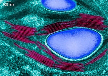 免费下载黄色软件3.03：极速狂飙，城市赛道与真实驾驶的革新体验-4
