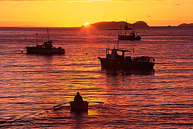 男人捅女人APP：音译误解下的都市侠客，霓虹赛道中的道德飞驰-5