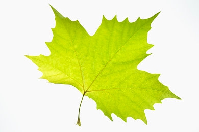 蜜桃成人影片：复古赛车新作引爆社群，深度改装与赛博朋克世界掀起竞速热潮-3