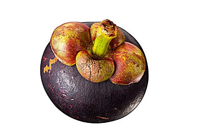 里番本子ACG：深度改装与动漫叙事交织，次元竞速新作今日正式发售