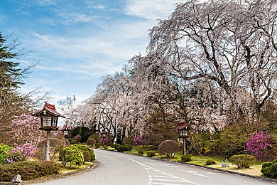 日本Bdsm鞭打合集：硬核赛车模拟新作发布，极致物理引擎挑战操控极限