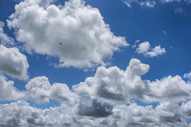 精东麻豆天美：霓虹都市，极速星梦，舞台与引擎的协奏曲-2