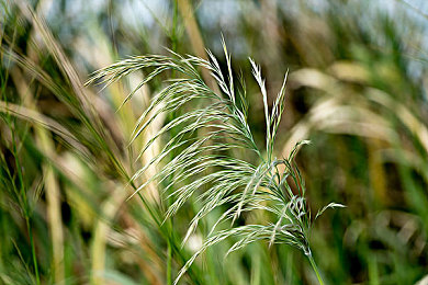 亚洲国产av电影：极速赛道融合动态剧情，沉浸驾驶体验革新竞速游戏-4