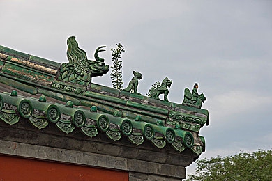 野人泰山1995年意大利：丛林秘影，藤蔓间的复古冒险诗篇-3