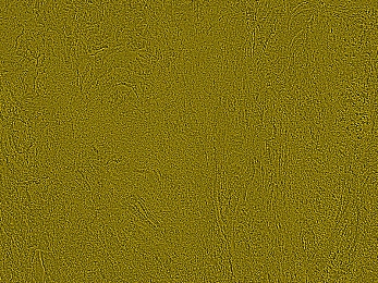 男生叉叉女生:双轨交织,风驰电掣间的默契与博弈-4