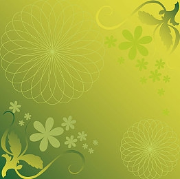 美女脱光了的视频软件：幻彩座驾，无限创意的视觉改装之旅-4