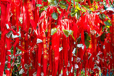 禁止18岁软件：虚拟驾照考场，硬核赛车游戏的物理与心智试炼场-3