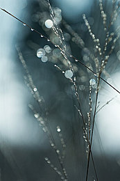 黄色appopp：极速幻影，视觉陷阱与理性突破的竞速交响-3