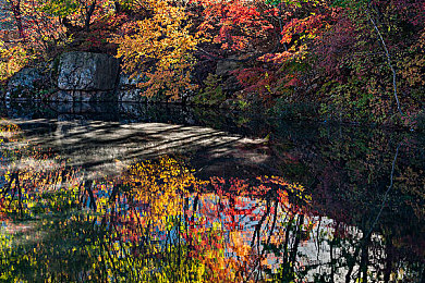 3.0.3免费OPPO版破解大全免费下载 在线观看：极速幻影，都市赛道上的改装艺术与竞速哲学-3