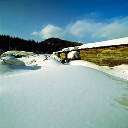 Oppo手机官方下载黄色软件：霓虹疾驰，都市光影竞速新篇-2