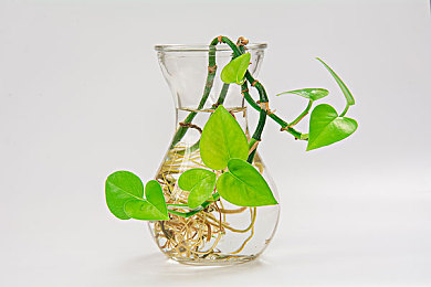 亚洲A一区二区：霓虹峡谷与怀旧山道的极速双生之旅-3