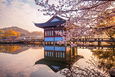 十大黄色应用:疾速闪耀,十款金黄赛车手游的终极驾驭指南-4