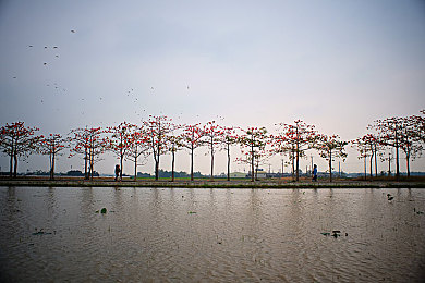 火辣辣福利引导导航:驾驭动态导航,成为街头传奇,体验极速狂飙的全新境界-4