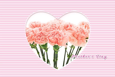 黄app大全：复古像素赛车新作发布，硬核驾驶体验引爆竞速游戏圈-5