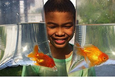 男同做网站：彩虹引擎，地平线上自由驰骋的虚拟车友联盟