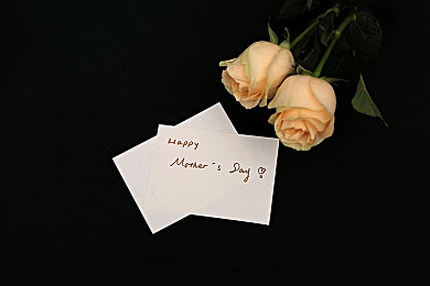 伽罗ちゃんが腿法原因详解及建议：风之舞者，疾驰战场中的无影连击艺术-2