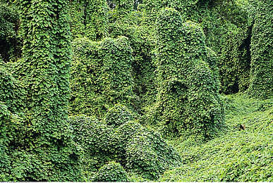 2023年已更新的黄色软件：霓虹飞驰，黄昏赛道上的金色闪电传说-4