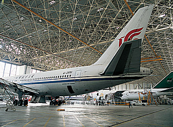 讲述巴厘岛一次难忘的经历：《极速巴厘岛》正式上线，沉浸式驾驶革新虚拟旅行体验-4