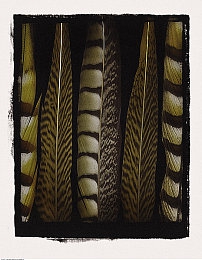 3.3.3免费oppo破解大全免费网页版:时空枢纽新版本策略揭秘,玩家创意破解资源困局-3