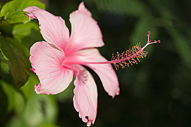 朝阳群众51cgfun今日吃瓜怎么打开:虚拟京城探秘,赛车寻踪解锁本土文化隐藏剧情-3