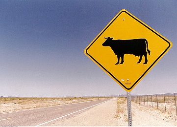 3.0.3免费OPPO版破解大全免费下载 在线观看：极速幻影，都市赛道上的改装艺术与竞速哲学-4