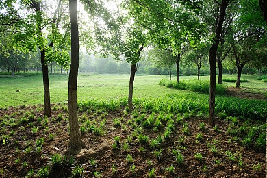 国产成人影视av：互动影像游戏热潮再起，深度剖析本土作品的电影化叙事之路