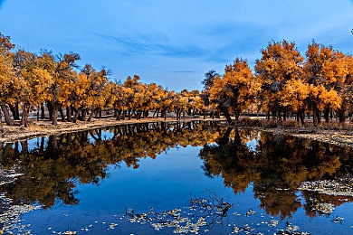 3p怎么不尴尬：极限竞速地平线三人协作指南，高效分工与沟通技巧全解析