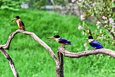 男人把自己的困困放在男人的困困：都市牢笼中的钢铁巨兽驯服记-2